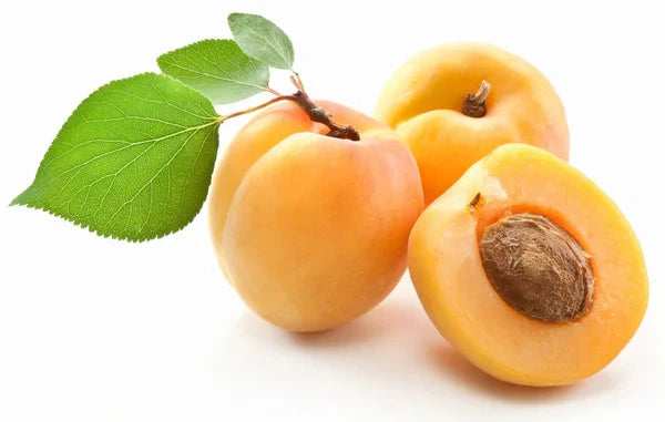 Apricots (500g)