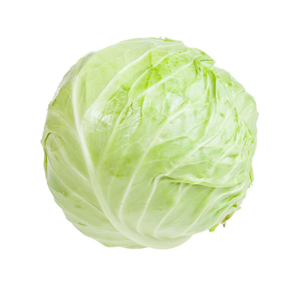 White Cabbage